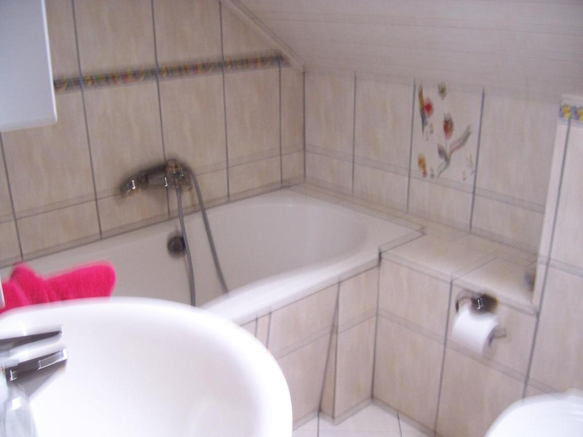 Appartement Ferienoase Im Zottbachtal à Pleystein Extérieur photo